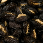 QALMI DATES WITH WALNUT